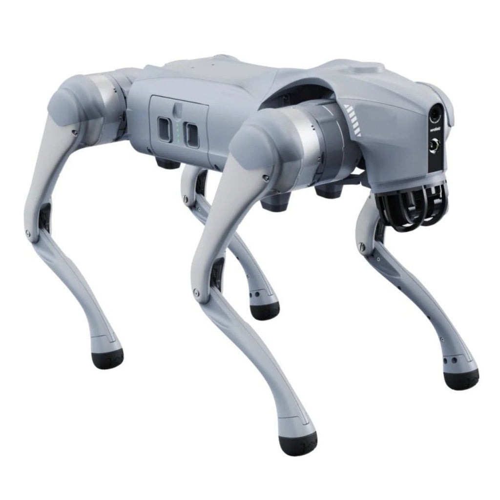 Unitree Go2 Roboterhund Seitenansicht rechts